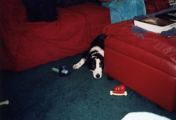 [Image - Penny]