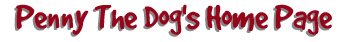 [Penny The Dog's Home Page]
